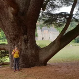 Château de Pocé-sur-Cisse