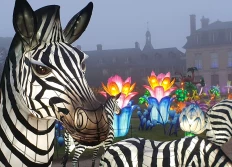 Thoiry Lumières Sauvages