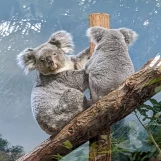 PXL 20220503 135829350.MP