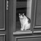 PXL 20230508 105007626-2