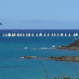 20190727 161321 - Copie