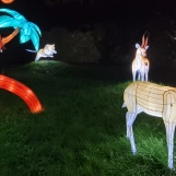 20241212 184925