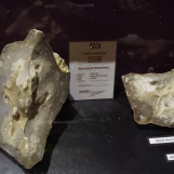 IMGP9894
