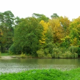 Etang d'Or (Rambouillet).