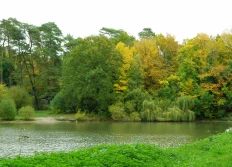 Etang d'Or (Rambouillet)