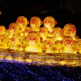 Lumières du Japon (Jardin d'acclimatation de Paris; janvier 2026)