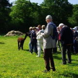 Au "Paradis de la Charnie" (Sarthe): prise de contact