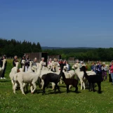 Au "Paradis de la Charnie" (Sarthe): découverte réciproque (bis)