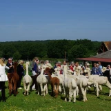 Au "Paradis de la Charnie" (Sarthe): découverte réciproque