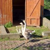 IMG-20260524-WA0013
