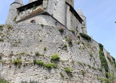 De Provins à Vézelay en passant par le Jura