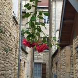 34 Aveyron